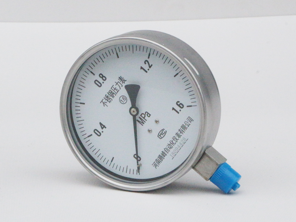 不銹鋼耐震壓力表 Y-100BFZ